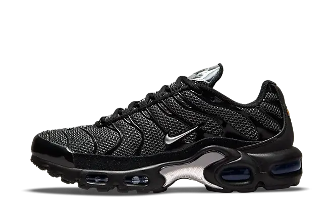 Nike Air Max Plus Black Suede Silver (W)