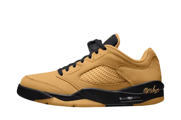 Air Jordan 5 Low (W)