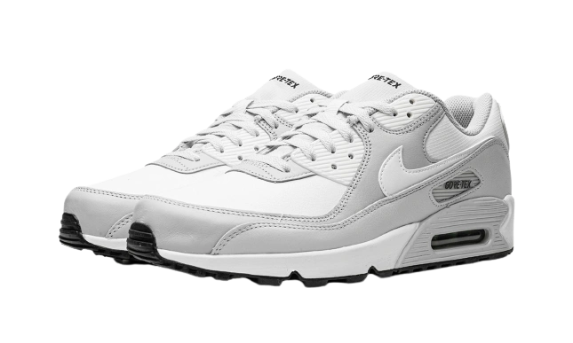 Nike Air Max 90 Gore-Tex Photodust - Image 1