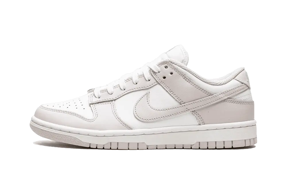 Nike Dunk Low Venice (W)