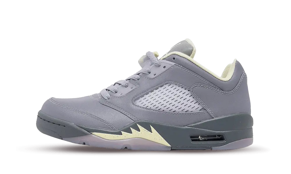 Jordan 5 Retro Low Indigo Haze (W)