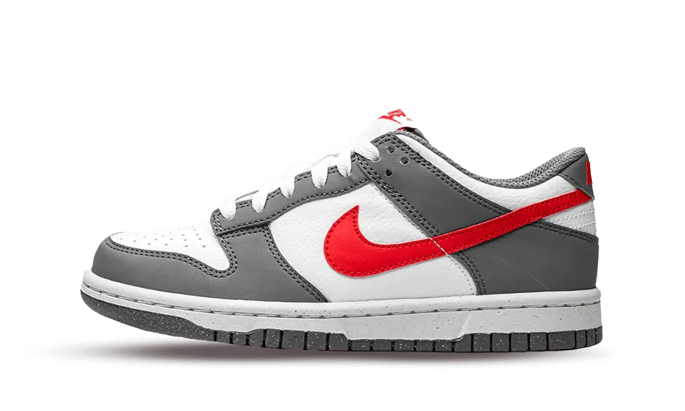 Nike Dunk Low Next Nature Smoke Grey Light Crimson (GS)