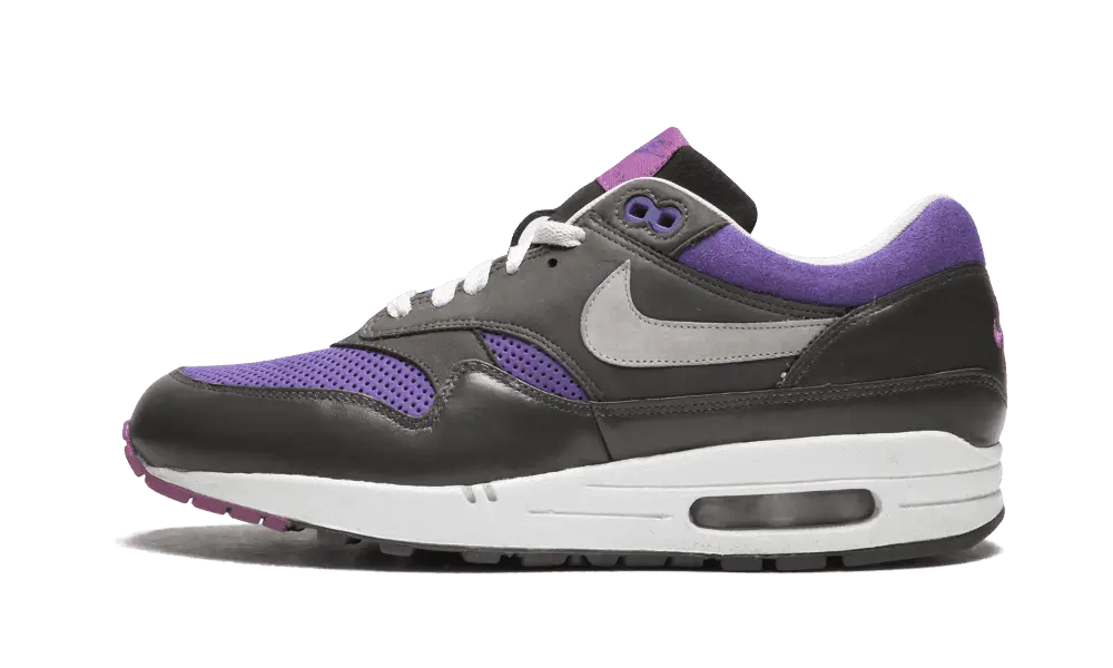 Nike Air Max 1 Premium Purple Pack