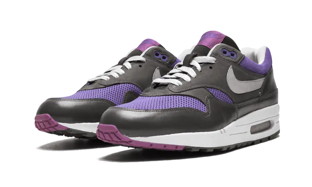 Nike Air Max 1 Premium Purple Pack - Image 1