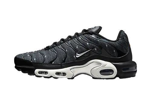 Nike Air Max Plus SE Black Chrome