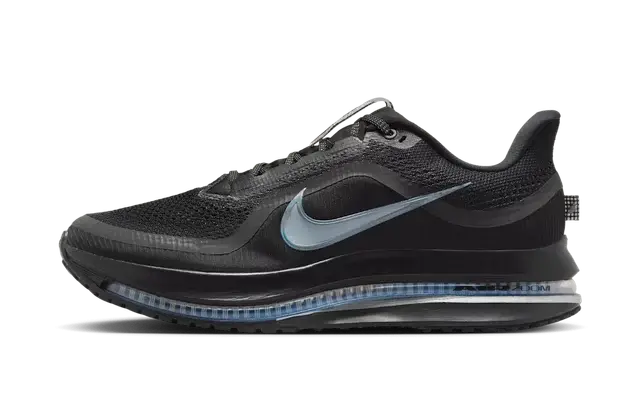 Nike Air Zoom Pegasus Premium Black Metallic Silver