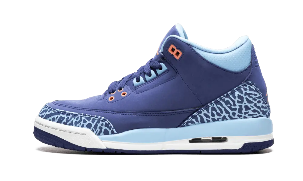 Jordan 3 Retro Purple Dust (GS)