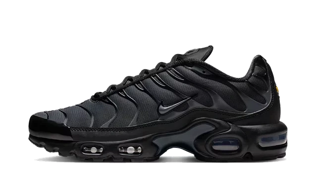 Nike Air Max Plus 'Black'