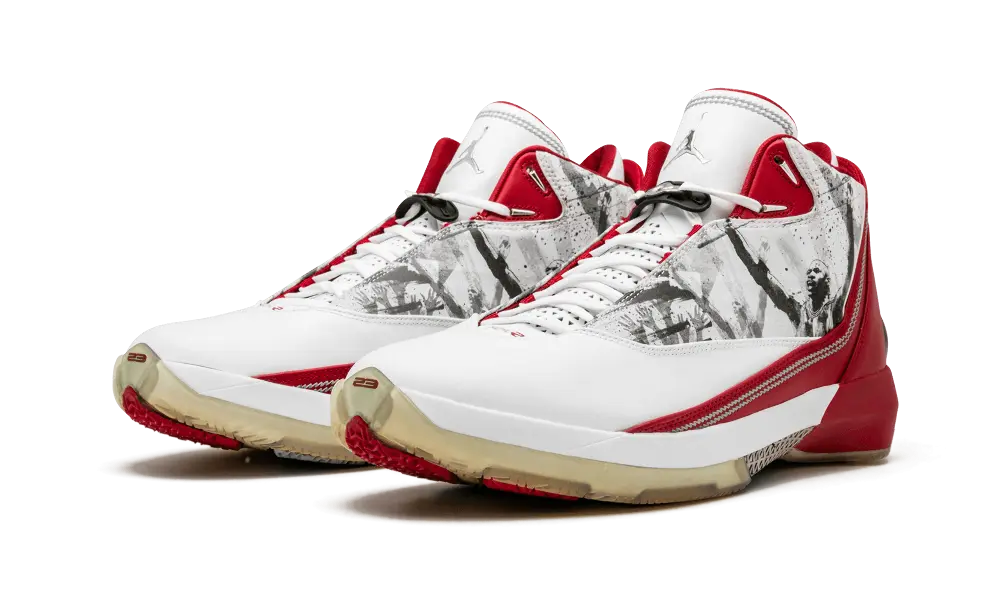 Jordan 22 OG Omega - Image 1