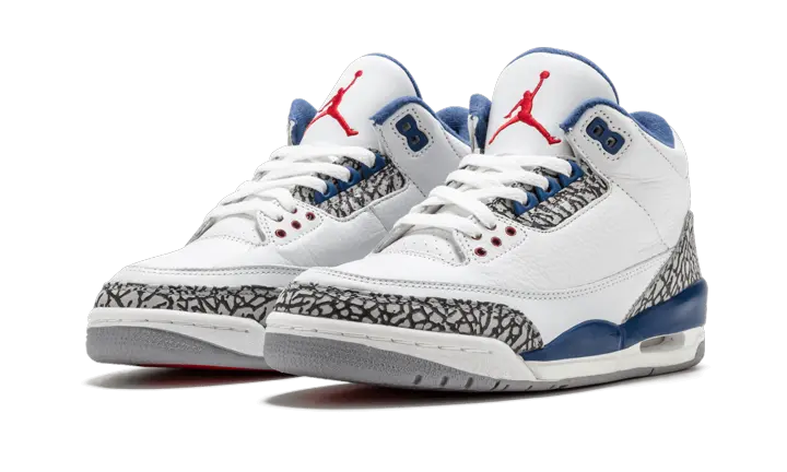 Jordan 3 Retro True Blue (2009) - Image 1