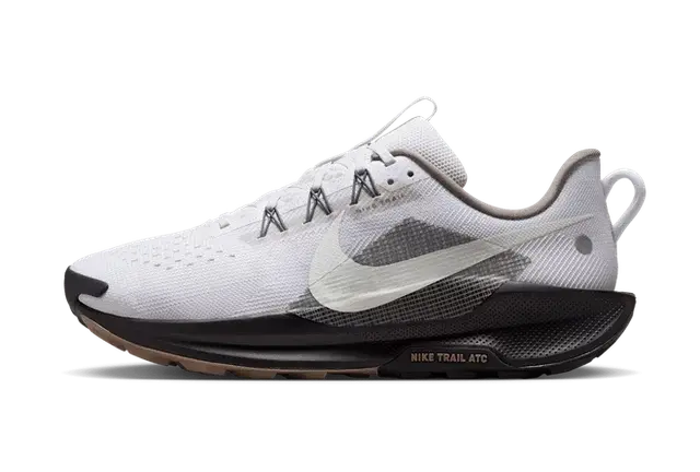 Nike Pegasus Trail 5 'Summit White'