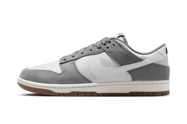 Nike Dunk Low Retro SE Cool Grey Photon Dust White