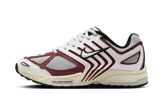 Nike Air Pegasus 2005 WMNS 'Dark Team Red' (W)