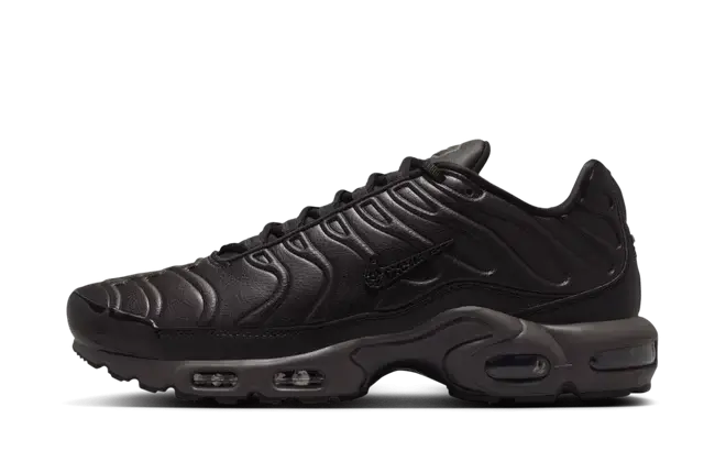 Nike Air Max Plus Premium Paris