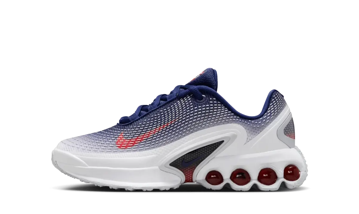 Nike Air Max DN 'Olympics' (GS)