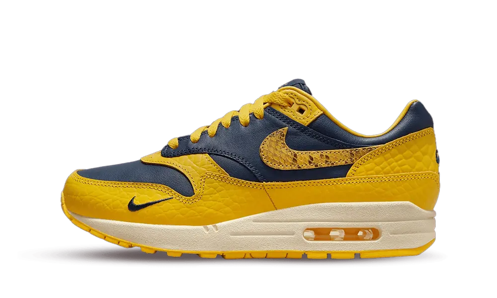 Nike Air Max 1 CO.JP Michigan (W)