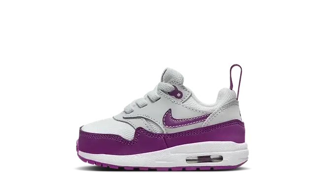 Nike Air Max 1 EasyOn 'Viotech' (TD)