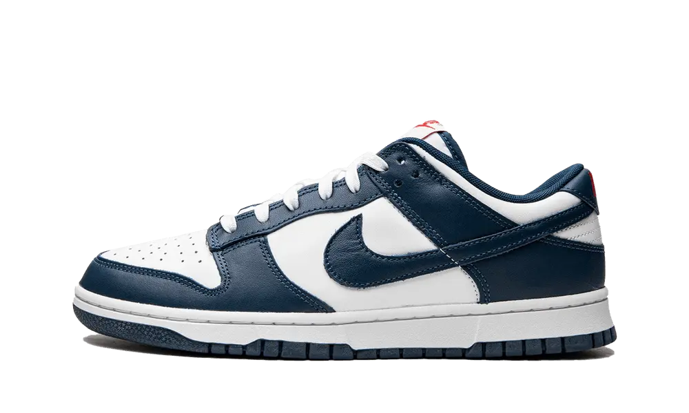 Nike Dunk Low Valerian Blue