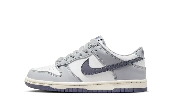 Nike Dunk Low Platinum Tint Light Carbon (GS)