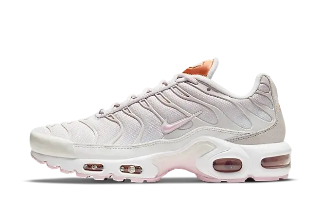 Nike Air Max Plus 'Vast Grey Metallic Copper' (W)
