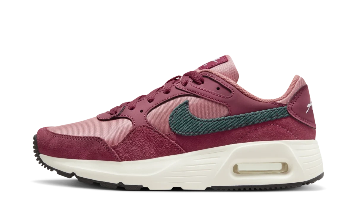 Nike Air Max SC SE 'Red Stardust Cedar'