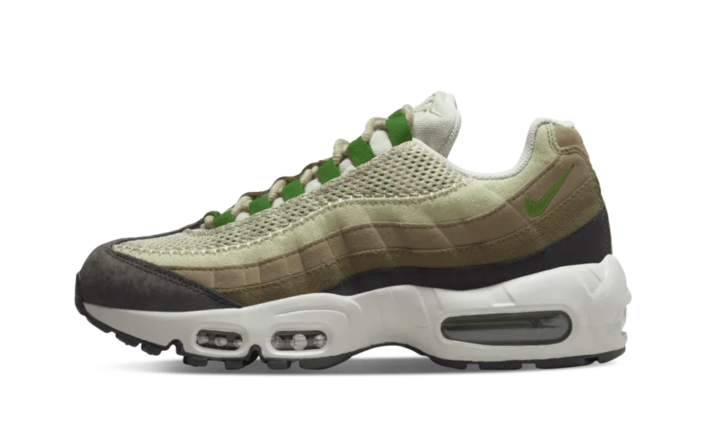 Photo du produit Nike Air Max 95 Earth Day (W)