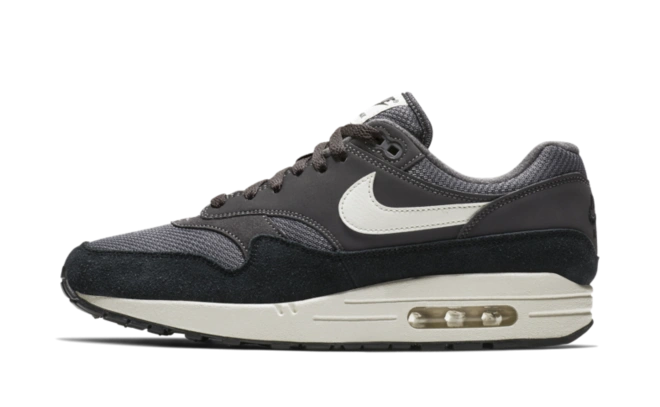 Photo du produit Nike Air Max 1 Thunder Grey