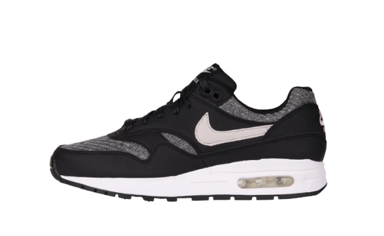 Photo du produit Nike Air Max 1 SE (GS)