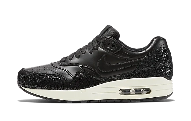 Photo du produit Nike Air Max 1 Stingray Pack