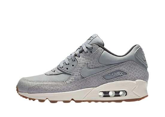 Photo du produit Nike Air Max 90 Premium 011 (W)