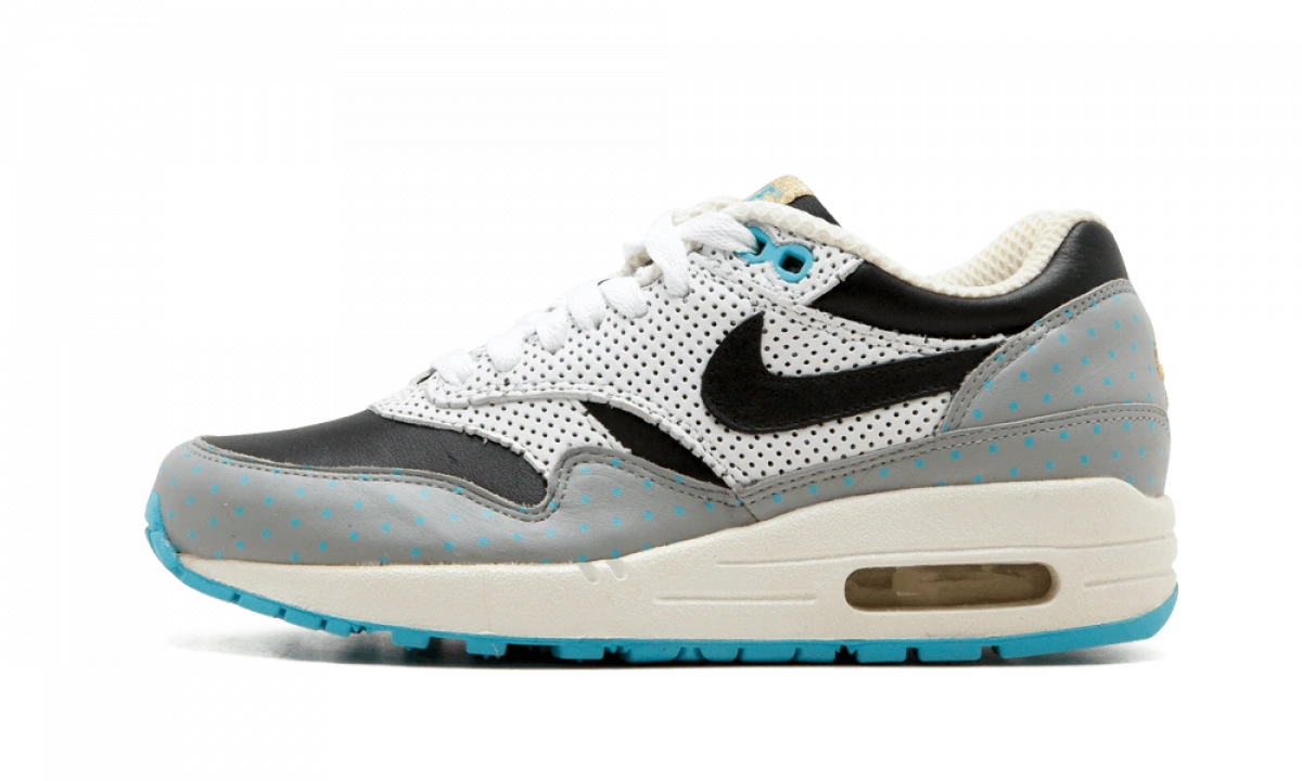 Photo du produit Nike Air Max 1 Premium 'Polka Dot'