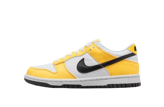 Nike Dunk Low Next Nature product photo
