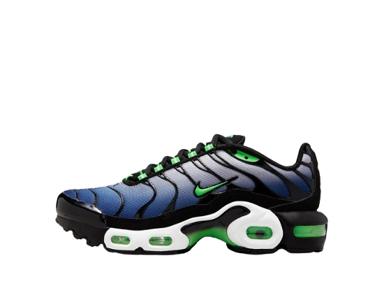 Photo du produit Nike Air Max Plus 'Icons' (GS)