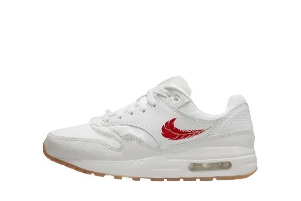 Photo du produit Nike Air Max 1 The Bay (GS)