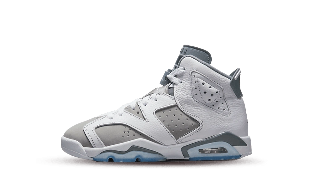 Jordan 6 Retro Cool Grey (GS) product photo