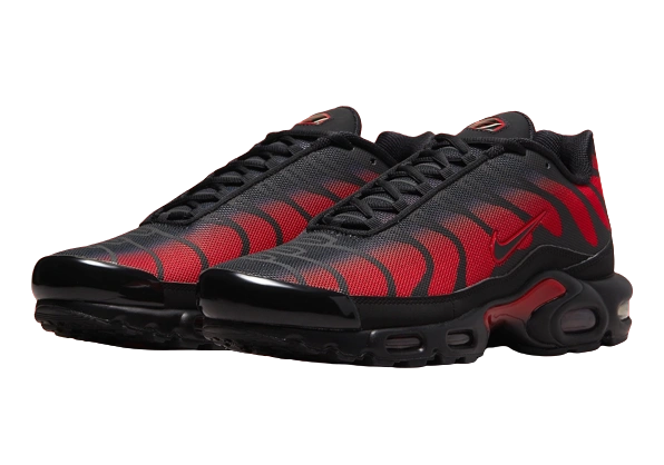Nike Air Max Plus Bred Reflective - Image 1