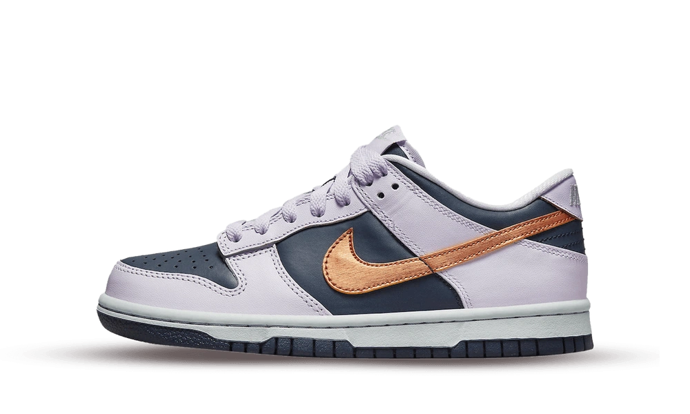 Nike Dunk Low SE Copper Swoosh (GS) product photo