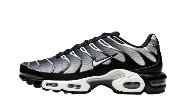 Photo du produit Nike Air Max Plus Black Silver White