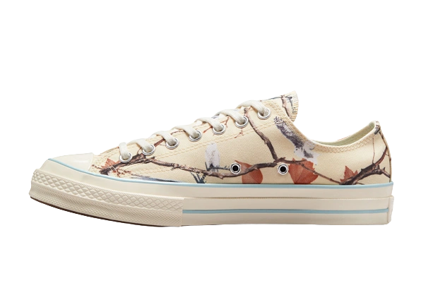 Converse Chuck Taylor All-Star 70 Ox Golf Wang Owl Camo productfoto