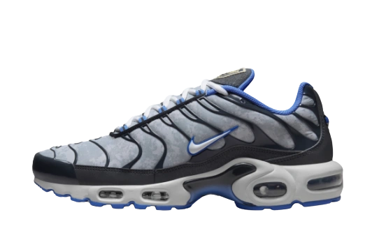 Nike Air Max Plus Social F.C. product photo