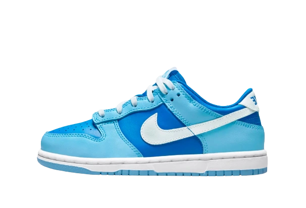 Nike Dunk Low Retro 'Argon' product photo