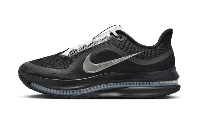 Nike Air Zoom Pegasus Premium SPBlack Metallic Silver product photo