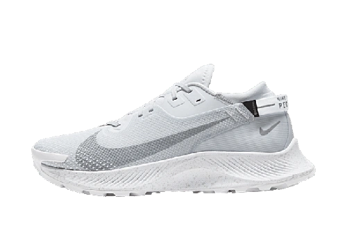 Foto del prodotto Nike Pegasus Trail 2 Gore-Tex Pure Platinum