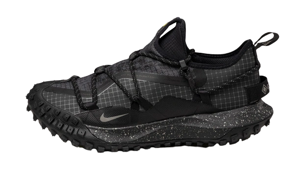 Foto del prodotto Nike ACG Mountain Fly Low Gore-Tex SE Dark Smoke Grey