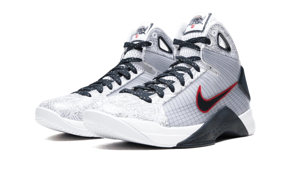 Nike Hyperdunk 08 United We Rise (2016) - Image 1