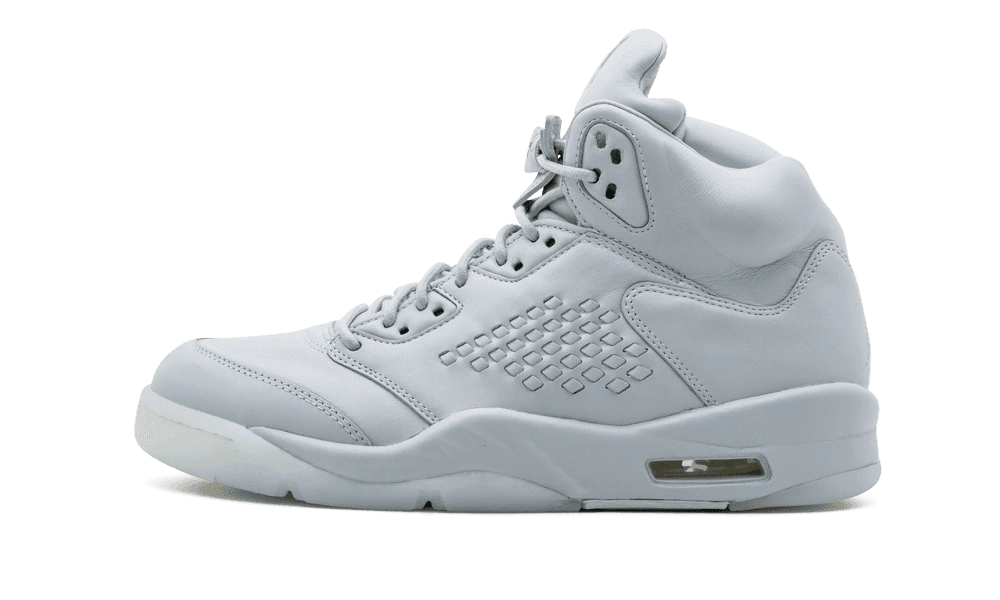Jordan 5 Retro Pure Platinum product photo