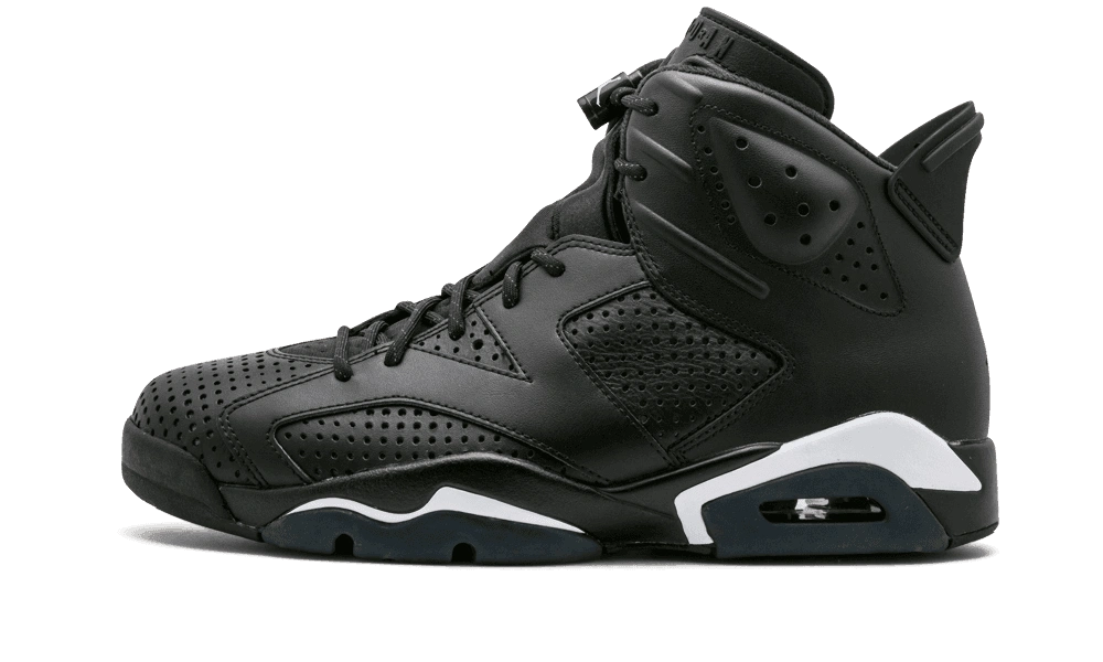 Jordan 6 Retro Black Cat (GS) product photo