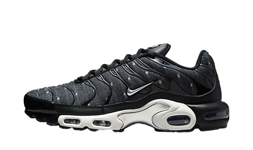 Photo du produit Nike Air Max Plus SE Black Chrome