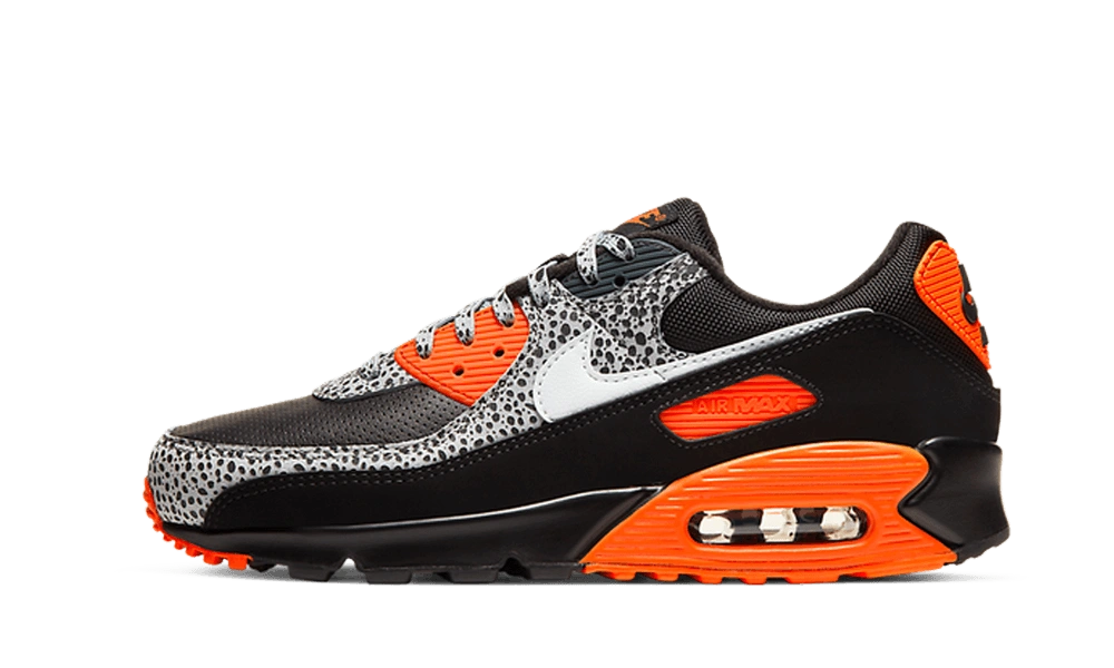 Photo du produit Nike Air Max 90 Safari (2020)