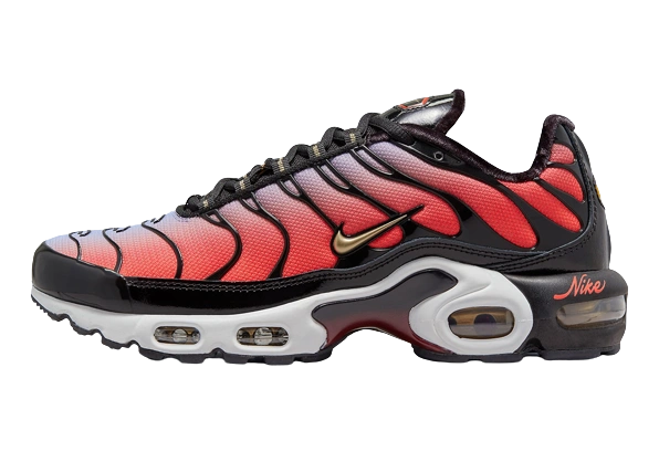 Photo du produit Nike Air Max Plus Sisterhood (W)